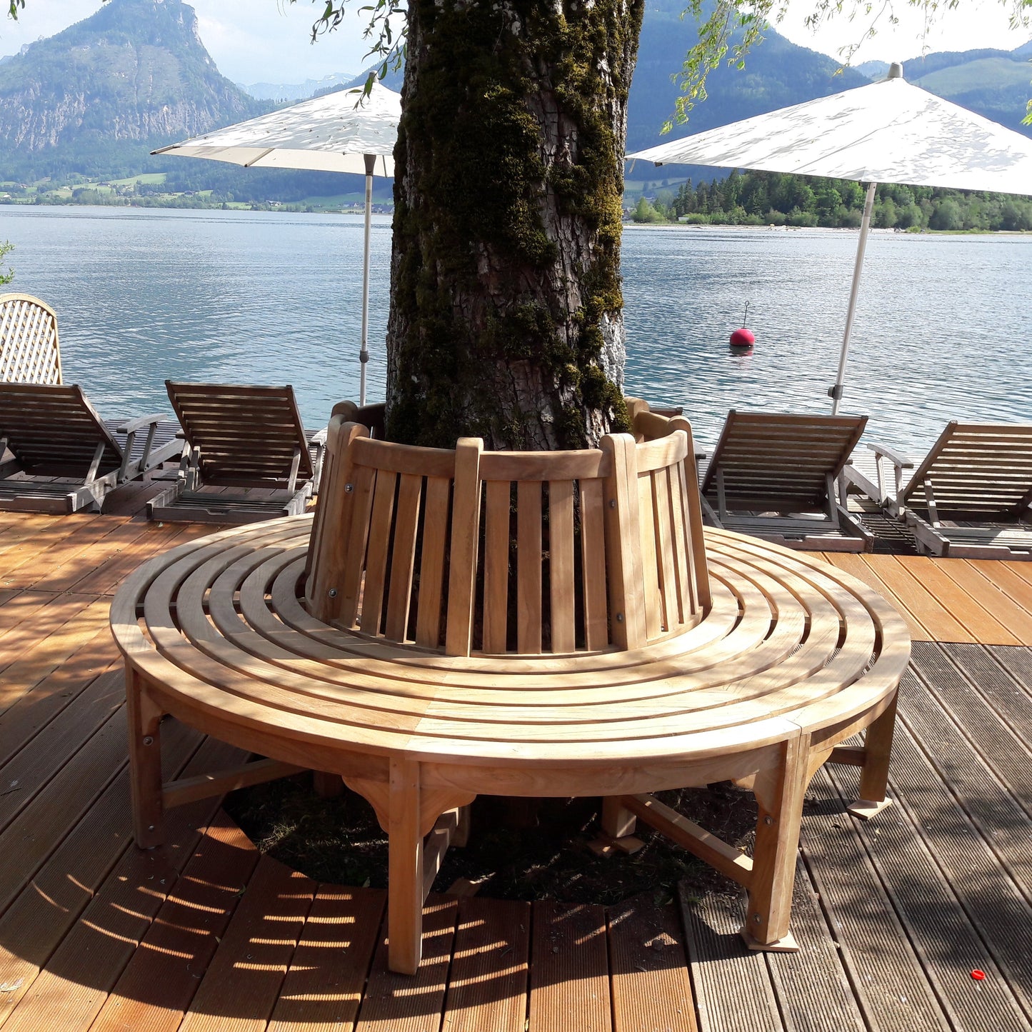 Matahari Teak Baumbank in 2 verschiedenen Größen